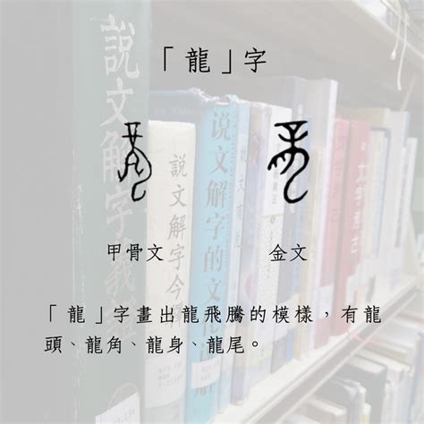 龍是象形字嗎|你真的知道「龍」是什麼動物嗎？從古文字中一窺「龍」上天入海。